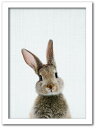 Animal Children series Rabbit ETM CB 1001WH t[J[FzCg TCYFA4 kar-8238762s2 A[gpl A[g{[h ǎ tB  k _ Ƌ CeA i` eCXg V IXX  㕥