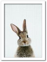 Animal Children series Rabbit ウサギ CB 2001WH フレームカラー:ホワイト サイズ:A3 店舗 カフェ ラウンジ ロビー ホテル 法人 kar-8238762s6 アートパネル アートボード 壁紙 装飾フィルム 送料無料 北欧 モダン 家具 インテリア ナチュラル テイスト 新生活 オ