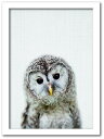 Animal Children series Owl フクロウ CB 1003WH フレームカラー:ホワイト サイズ:A4 kar-8238779s2 アートパネル アートボード 壁紙 装飾フィルム 送料無料 北欧 モダン 家具 インテリア ナチュラル テイスト 新生活 オススメ おしゃれ 後払い(3)