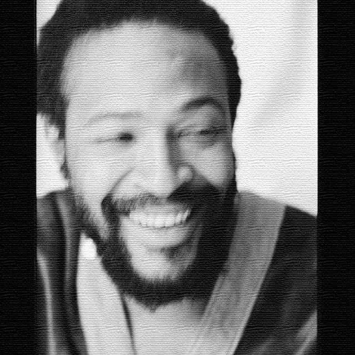 デニス モリス マービン ゲイ Dennis Morris Marvin Gaye Mサイズ 30cm×30cm アートパネル ファブリックパネル アートボード インテリアパネル 壁掛け 日本製 ラッピング付き lib-dms-0024-m アートパネル アートボード 壁紙 装飾フィルム 送料無料 北欧 モダン 家