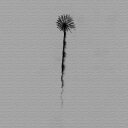 秦義之 写真 Yoshiyuki Hata Sサイズ 15cm×15cm アートパネル ファブリックパネル アートボード 壁掛け 日本製 ラッピング付き 店舗 ...