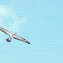 うみカメラマン むらいさち 青空 Sachi Murai Lサイズ 57cm×57cm アートパネル ファブリックパネル アートボード インテリアパネル 壁掛け 日本製 ラッピング付き lib-mur-0010-l アートパネル アートボード 壁紙 装飾フィルム 送料無料 北欧 モダン 家具 インテリ