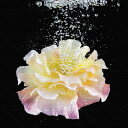 花 FLOWER Sサイズ 15cm×15cm アートパネル ファブリックパネル アートボード 壁掛け 日本製 ラッピング付き 店舗 カフェ ラウンジ ロビー ...