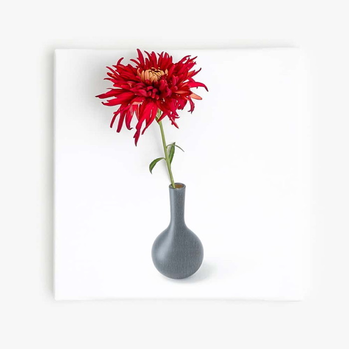 IKEBANA-01-04 生きてるインテリア 30×30×2.7cm アートパネル ファブリックパネル アートボード 壁掛け 日本製 ラッピング付き 店舗 カフェ ラウンジ ロビー ホテル 法人 lib-IKEBANA-01-04 アートパネル アートボード 壁紙 装飾フィル