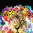 Galaxy Graphics ket-0003 Sサイズ 15cm×15cm アートパネル ファブリックパネル アートボード 壁掛け 日本製 ラッピング付き ...