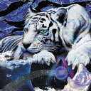 Galaxy Graphics ket-0005 Sサイズ 15cm×15cm アートパネル ファブリックパネル アートボード 壁掛け 日本製 ラッピング付き ...