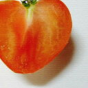 野菜 モチーフ ファブリック VEGETABLE FRUIT Mサイズ 30cm×30cm アートパネル ファブリックパネル アートボード インテリアパネル 壁掛け 日本製 ラッピング付き lib-pho-0003-m アートパネル アートボード 壁紙 装飾フィルム 北欧 モダン 家具 インテリア ナチュ(3)