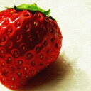 イチゴ VEGETABLE FRUIT Sサイズ 15cm×15cm アートパネル ファブリックパネル アートボード 壁掛け 日本製 ラッピング付き 店舗 カフ...