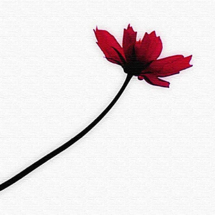 花 FLOWER Mサイズ 30cm×30cm アートパネル ファブリックパネル アートボード インテリアパネル 壁掛け 日本製 ラッピング付き lib-pho-0053-m アートパネル アートボード 壁紙 装飾フィルム 送料無料 北欧 モダン 家具 インテリア ナチュラル テイスト 新生活 オス