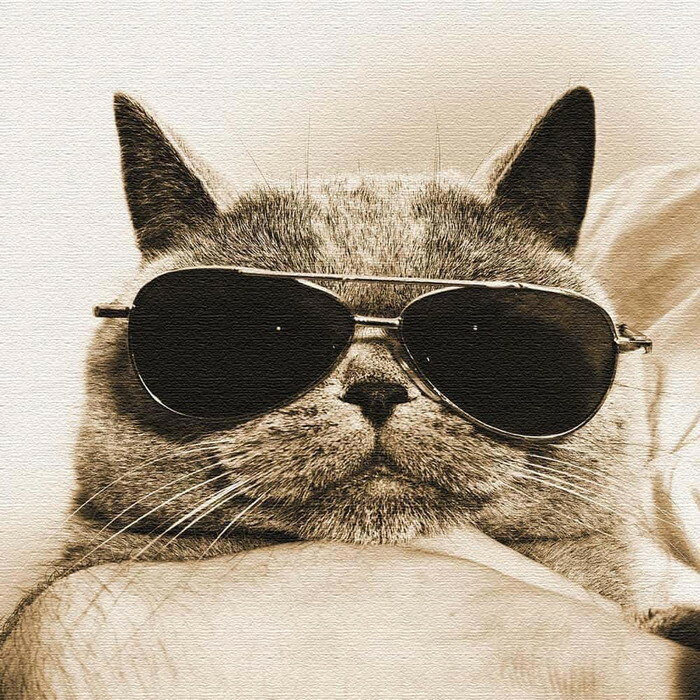 ※ご注文タイミングやご注文内容によっては、購入履歴からのご注文内容の修正を受け付けることができない場合がございます。商品説明(spec等)サイズXLサイズ（W100cm×H100cm）素材キャンバス、木枠生産国日本商品詳細軽量の木材と本物の...