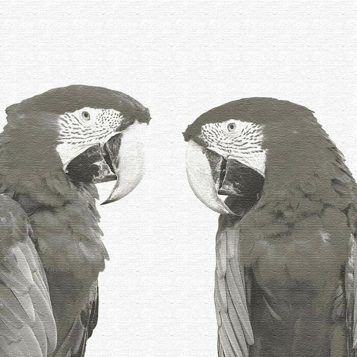 Ļ pho-0110 M������ 30cm��30cm �����ȥѥͥ� �ե��֥�å��ѥͥ� �����ȥܡ��� �ɳݤ� ������ ��åԥ��դ� Ź�� ���ե� �饦�� ����...