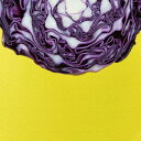 モダンアート 野菜 phot-1812-002 Mサイズ 30cm×30cm アートパネル ファブリックパネル アートボード 壁掛け 日本製 ラッピング付き 店...