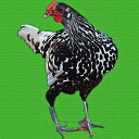 ニワトリ モチーフ ANIMAL Lサイズ 57cm×57cm アートパネル ファブリックパネル アートボード インテリアパネル 壁掛け 日本製 ラッピング付き lib-pop-0014-l アートパネル アートボード 壁紙 装飾フィルム 送料無料 北欧 モダン 家具 インテリア ナチュラル テイ