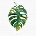 観葉植物 ウォールデコ pop-0103 XLサイズ 100cm×100cm アートパネル ファブリックパネル アートボード 壁掛け 日本製 ラッピング付き 店...