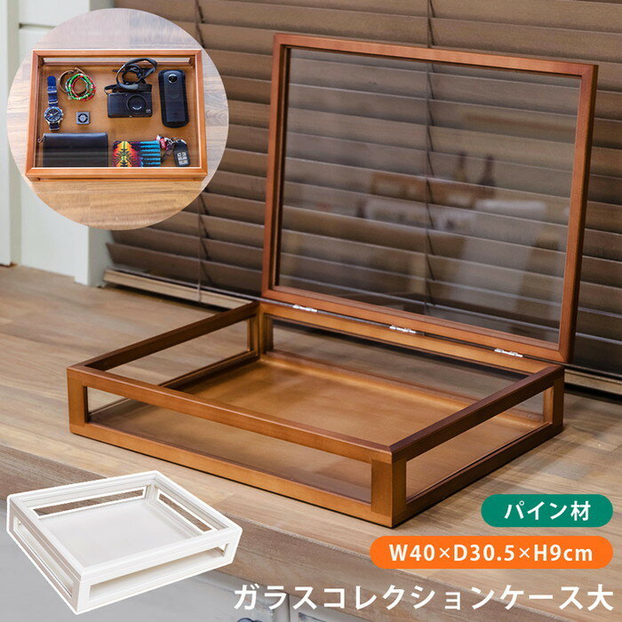 饹쥯󥱡  BR/WH ֥饦 ۥ磻 sk-lz04 쥯󥱡 쥯 ۥӡ ̵ ̲ ...