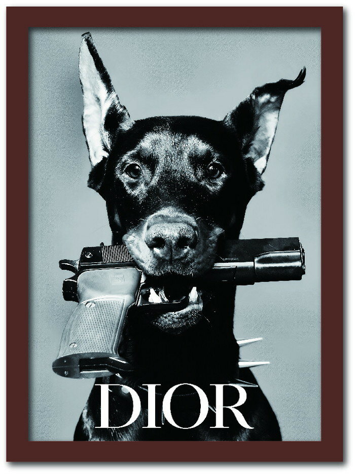 ǥ DIOR Fashion Photography series2 FS-1009BR-A4 ե졼५顼֥饦 A...