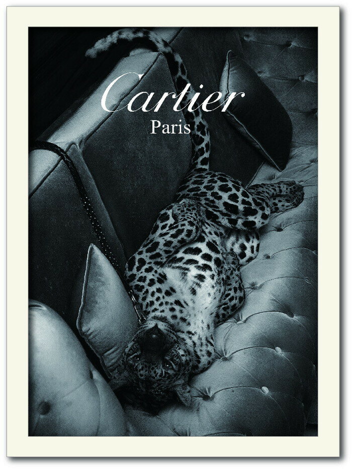 カルティエ CARTIER Fashion Photography seri