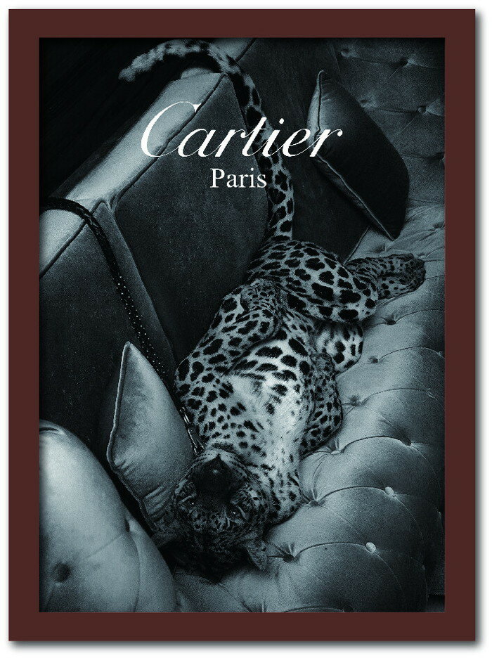 ƥ CARTIER Fashion Photography series2 FS-1012BR-A4 ե졼५顼֥饦 ...