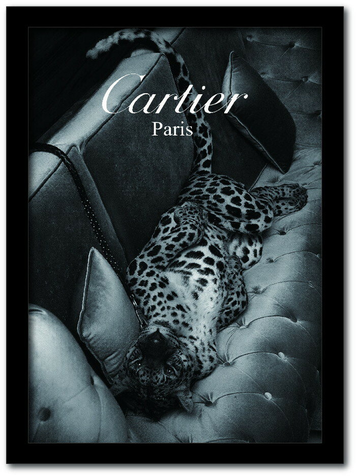 カルティエ CARTIER Fashion Photography series2 FS-2012B