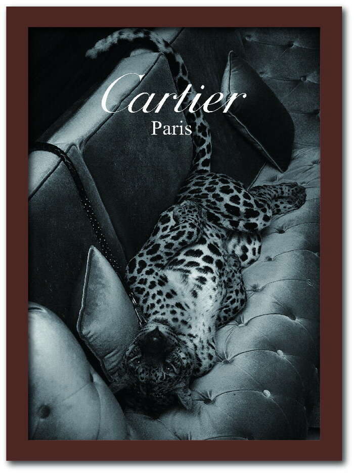 カルティエ CARTIER Fashion Photography seri