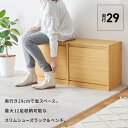 シューズベンチ RSB-1554BR (約)幅95×奥行29×高さ46cm hgs-3000002694 収納ベンチ 収納 家具 北欧 モダン 家具 インテリア...