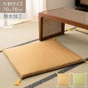 座布団 ゴールド グリーン 約W70×D70×H7 店舗 カフェ ラウンジ ロビー ホテル 法人 azu-bc-114 あす楽 座布団 クッション 座布団 送料無料 北欧 モダン 家具 インテリア ナチュラル テイスト 新生活 オススメ おしゃれ 後払い