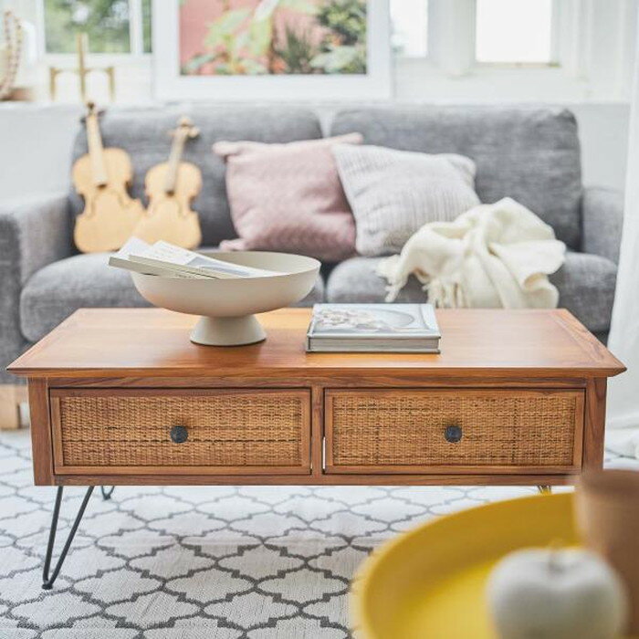 センターテーブル ブラウン W100×D50×H40 azu-guy-371 あす楽 センターテーブル ローテーブル テーブル 送料無料 北欧 モダン 家具 インテリア ナチュラル テイスト 新生活 オススメ おしゃれ 後払い