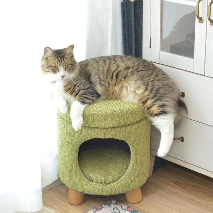 ڥåȥġ ١ ꡼ W33D33H41 azu-pet-61 ȯ ϥ     ...