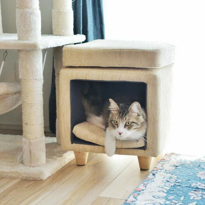 ڥåȥġ ١ ꡼ W35D35H41 azu-pet-62 ȯ ϥ     ...