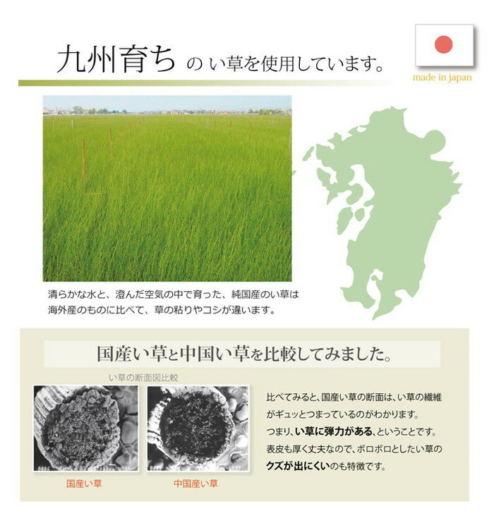 サンプル画像2