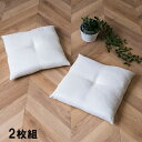 ヌードクッション 国産 日本製 洗える シート 椅子用 約45×45cm 2枚組 アイボリー ihk-1210660140203 クッション クッション 座布団 送料無料 北欧 モダン 家具 インテリア ナチュラル テイスト 新生活 オススメ おしゃれ 後払い