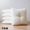 ヌードクッション 座布団 国産 座布団 銘仙判 日本製 約55×59cm 5枚組 アイボリー ihk-1210660141205 座布団 クッション 座布団 送料無料 北欧 モダン 家具 インテリア ナチュラル テイスト 新生活 オススメ おしゃれ 後払い