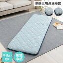 クッション 座布団 冷感 ひんやり ごろ寝 三層 洗える ペンギン 約65×180cm ブルー ルカン ブルー パング ihk-1223670041325 座布団 クッション 座布団 送料無料 北欧 モダン 家具 インテリア ナチュラル テイスト 新生活 オススメ おしゃれ 後払い