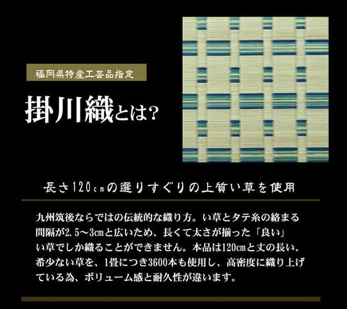 い草カーペット 掛川織 雲仙 本間8畳 約382×382cm ベージュ ブルー ihk-1030980021402 カーペット ラグ カーペット マット 北欧 モダン 家具 インテリア ナチュラル テイスト 新生活 オススメ おしゃれ auc-genco-11828289 家具・インテリアのジェンコ サンプル画像2