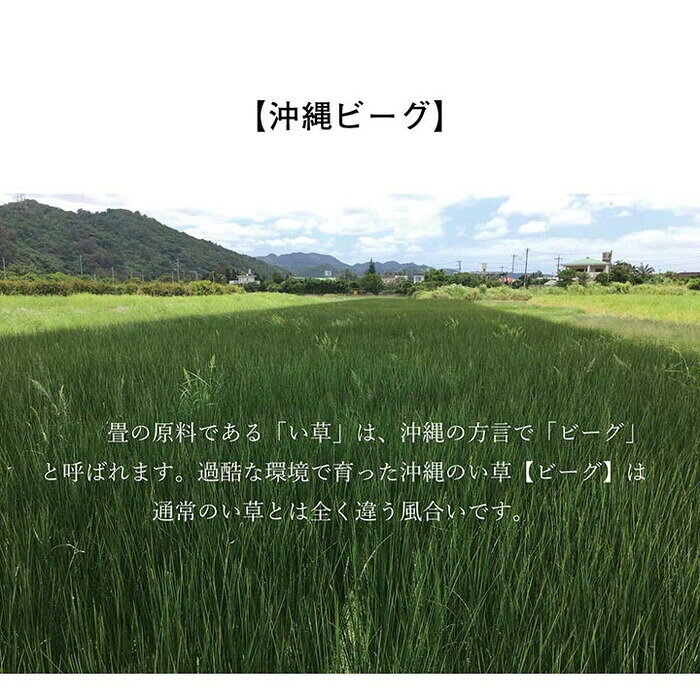 サンプル画像3