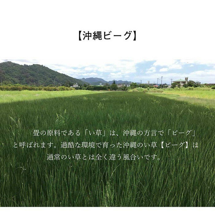 日本製 国産 純国産 沖縄ビーグ ラグ い草 約130×200cm 裏:不織布 ihk-1050750011803 カーペット ラグ カーペット マット 送料無料 北欧 モダン 家具 インテリア ナチュラル テイスト 新生活 オススメ おしゃれ 後払い [3]