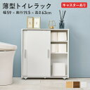 トイレラック RTR-1348 幅59×奥行19.5×高さ63cm hgs-3000003970 ランドリー サニタリーチェスト 収納 家具 送料無料 北欧 モ...