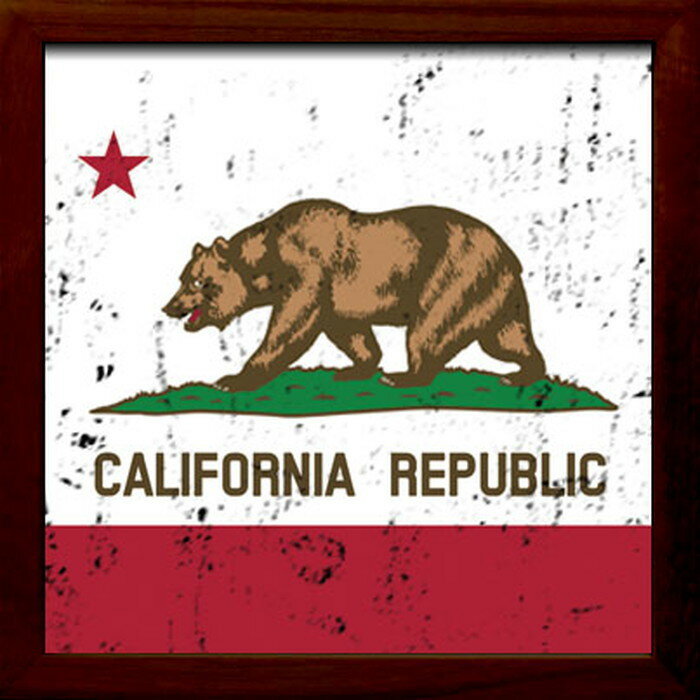 サインフレーム カルフォルニアリパブリック SIGN FRAME California Republic 220x220x20 snw-zsf-52031 アートパネル アートボード 壁紙 装飾フィルム 送料無料 北欧 モダン 家具 インテリア ナチュラル テイスト 新生活 オススメ おしゃれ 後払い