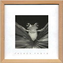 フレンチフォトグラフィ ツリーフロッグクイーン French Photography Tree Frog Queen 220x220x20 snw-zfp-51922 アートパネル アートボード 壁紙 装飾フィルム 送料無料 北欧 モダン 家具 インテリア ナチュラル テイスト 新生活 オススメ おしゃれ 後払い