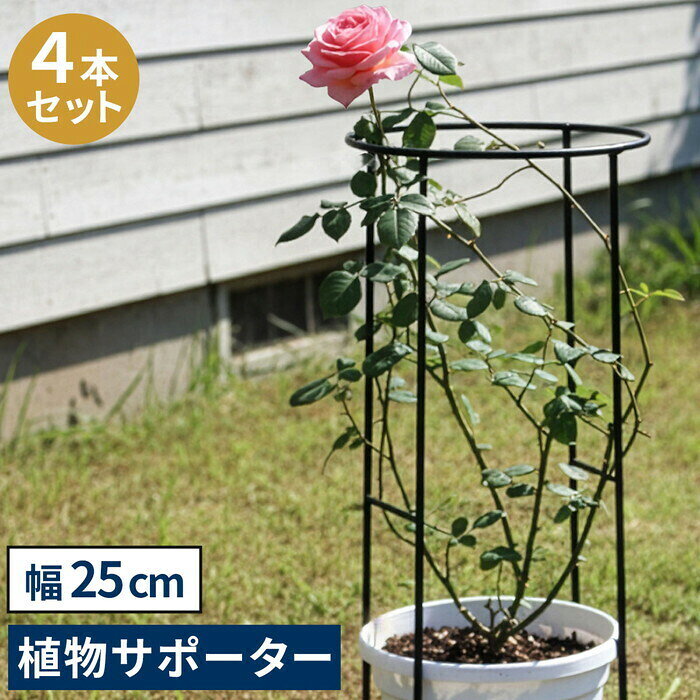 ※ご注文タイミングやご注文内容によっては、購入履歴からのご注文内容の修正を受け付けることができない場合がございます。商品説明(spec等)商品説明「植物の広がりや倒れをしっかりサポート」お庭の大切な植物が、花の重みで倒れたり、広がりすぎたり…。そんな時は、植物をさりげなくおしゃれに整える、アイアン製サポーターがおすすめです。マット調の6mm黒アイアンは、頑丈でモダンな質感。広がりがちな植物を、抜群の安定感で、エレガントに固定します。■連結・延長で自由にデザインフックで連結したり、延長脚で高さを変えられます。(1)1本で植物を支える(2)2本でサークル状に(3)複数連結で大サークルも作れます(4)延長脚（別売り）でもっと高く(5)横に複数連結すればフェンスに【特徴】・張り出しがちな草木も、美しいシルエットをキープ。玄関アプローチや、お庭の小道もすっきり。・大きめサイズなら、茂りすぎたシュラブ（低木）や、植栽直後のシンボルツリー、重さのある果樹もしっかり支えます。・地面に深く刺すだけで抜群の安定感。軽量で持ち運びもしやすいです。地植え、鉢植え、どちらにも使えます。【ディテール】・植物になじむマットブラック・丈夫で扱いやすい太めアイアン・豊富なサイズバリエーション※幅45cmのみ、脚はジョイント式です。【カラー】マットブラックスペック■カラー・型番 ブラック…IF-N0049-4P■サイズ（約） 幅 250×奥行 130×高さ 500mm（1本）■重量（約） 0.65kg（1本）■材質 アイアン■仕上げ 粉体塗装■組立区分 完成品送料全国一律送料無料(北海道は別途見積もり・沖縄・離島は配達不可)備考※お急ぎの場合は必ず事前に在庫確認を行って下さい。このカテゴリー商品をお探しの方がよくご利用されている検索ワードです。商品検索にぜひ御利用下さいませ。ジェンコ 送料無料 サイズ 幅 高さ 奥行 W D H cm cm 付き つき 無し なし 縦型 横型 北欧 モダン 家具 インテリア ナチュラル テイスト シンプル オススメ おすすめ おしゃれ かわいい 可愛い 用 新生活 後払い ガーデン 屋外 野外 庭 BBQ バーベキュー おうち ガーデン テーブル ガーデン テーブル ガーデンチェア ガーデンライト ガーデンパラソル ガーデンバリア ガーデンベンチ ガーデンシンク ガーデンパン ガーデン 屋外 ガーデン 折りたたみ ガーデン レンガ ガーデン 置物 ガーデン 収納 ガーデン オブジェ ガーデン オーナメント アンティーク ガーデン オプション ガーデン 猫 ガーデン 車輪 ガーデン ストッカー ガーデン テーブル ガーデン ソファ ガーデン 棚 ガーデン ホワイト ローズ ガーデン 木 ガーデン ベンチ ホワイト ガーデン パラソル ハーフ ガーデン ホース おしゃれ関連商品アイアン製植物サポーター 幅18 4本セット IF-N0050-4P ...アイアン製植物サポーター 延長脚 8本セット IF-N0051-8P ...3,679円3,800円アイアン製植物サポーター 幅35 4本セット IF-N0048-4P ...アイアン製植物サポーター 幅45 4本セット IF-N0047-4P ...4,979円5,680円アイアン製植物サポーター 延長脚 4本セット IF-N0051-4P ...アイアン製植物サポーター 幅25 8本セット IF-N0049-8P ...2,500円6,600円アイアン製植物サポーター 幅18 8本セット IF-N0050-8P ...アイアン製植物サポーター 延長脚 16本セット IF-N0051-16...5,800円5,800円アイアン製植物サポーター 幅25 16本セット IF-N0049-16...アイアン製植物サポーター 幅45 8本セット IF-N0047-8P ...11,799円9,300円商品詳細商品説明「植物の広がりや倒れをしっかりサポート」お庭の大切な植物が、花の重みで倒れたり、広がりすぎたり…。そんな時は、植物をさりげなくおしゃれに整える、アイアン製サポーターがおすすめです。マット調の6mm黒アイアンは、頑丈でモダンな質感。広がりがちな植物を、抜群の安定感で、エレガントに固定します。■連結・延長で自由にデザインフックで連結したり、延長脚で高さを変えられます。(1)1本で植物を支える(2)2本でサークル状に(3)複数連結で大サークルも作れます(4)延長脚（別売り）でもっと高く(5)横に複数連結すればフェンスに【特徴】・張り出しがちな草木も、美しいシルエットをキープ。玄関アプローチや、お庭の小道もすっきり。・大きめサイズなら、茂りすぎたシュラブ（低木）や、植栽直後のシンボルツリー、重さのある果樹もしっかり支えます。・地面に深く刺すだけで抜群の安定感。軽量で持ち運びもしやすいです。地植え、鉢植え、どちらにも使えます。【ディテール】・植物になじむマットブラック・丈夫で扱いやすい太めアイアン・豊富なサイズバリエーション※幅45cmのみ、脚はジョイント式です。【カラー】マットブラックスペック■カラー・型番 ブラック…IF-N0049-4P■サイズ（約） 幅 250×奥行 130×高さ 500mm（1本）■重量（約） 0.65kg（1本）■材質 アイアン■仕上げ 粉体塗装■組立区分 完成品送料全国一律送料無料(北海道は別途見積もり・沖縄・離島は配達不可)備考※お急ぎの場合は必ず事前に在庫確認を行って下さい。他の「ガーデン」を見る他の「その他」を見る商品の仕様、在庫、納期等ご不明な点はお気軽にお問い合わせくださいませ。TEL 072-275-8288下にございます商品番号をお伝え頂けると、スムーズにご案内が可能でございます。商品番号：ge-oth-th-g-00718※ページ下部に表示される商品仕様につきましては、AI処理によって入力しております。不完全な部分がございますので、必ず上記商品説明部分での確認をお願いいたします。