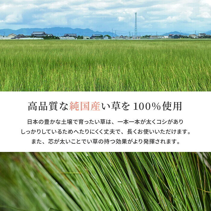 国産い草ラグ エンペラー 約200×300cm グリーン hig-81906702x カーペット ラグ カーペット マット 北欧 モダン 家具 インテリア ナチュラル テイスト 新生活 オススメ おしゃれ auc-genco-11882904 家具・インテリアのジェンコ サンプル画像3