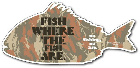釣りステッカー 迷彩アイコン 魚のいるところで釣りをせよ カモFISH 05 FS138 フィッシング ステッカー..