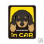 ڥåȥƥå DACHSHUND in CAR åե ɥå󥫡  ڥå  DOG 饹 25 PET074 gs ƥå å