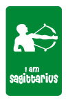 12星座ステッカー SZ09 SAGITTARIUS いて