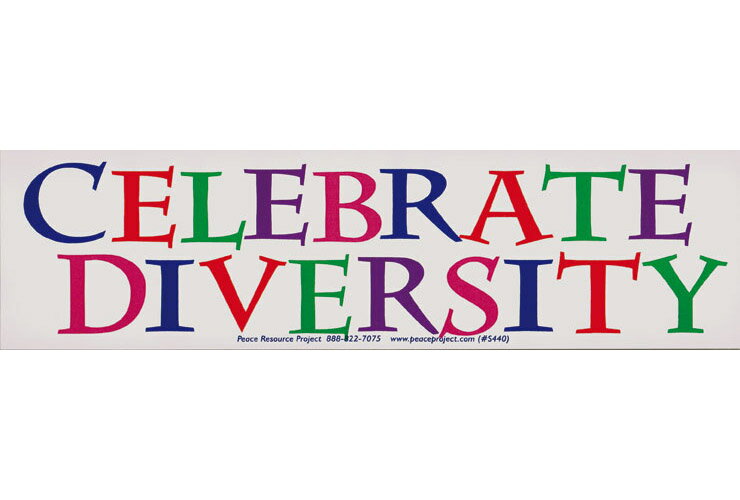 ステッカー BS065 CELEBRATE DIVERSITY