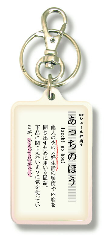新訳シュール辞典キーホルダー kjt10 あっちのほう