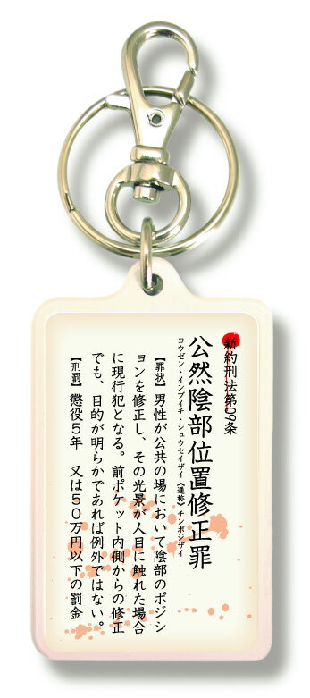 新約刑法キーホルダー kkh09 公然陰部位置修正罪