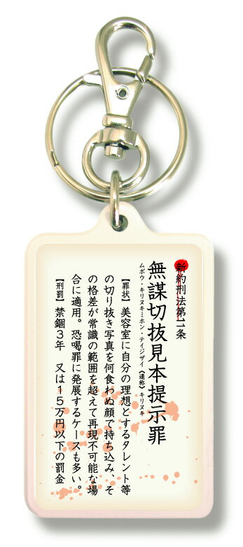 新約刑法キーホルダー kkh11 無謀切抜見本提示罪