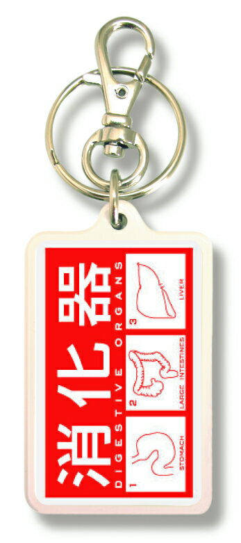 オリジナルキーホルダー KNM255 SHOKAKI