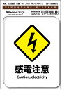 SGS069 サインステッカー 感電注意 Caution electricity ステッカー 識別 標識 注意 警告 ピクトサイン ピクトグラム